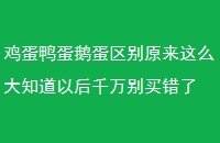 Ѽ쵰ԭô֪Ժǧ