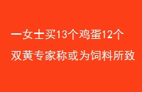 һŮʿ1312˫רҳƻΪ