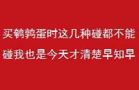 ȵʱ⼸Ҳǽ֪