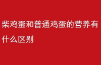 񼦵ͨӪʲô