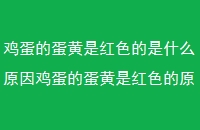 ĵǺɫʲôԭ򼦵ĵǺɫԭ