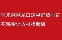 ֺ컨ùŴ廻ò