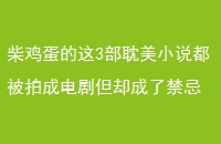 񼦵3С˵ĳɵ絫ȴ˽