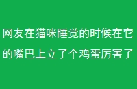è˯ʱ˸ҵ
