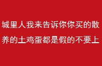 ɢǼٵĲҪϵ