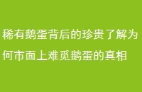 ϡж쵰˽Ϊٶ쵰
