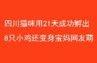 Ĵè21ɹ8ֻСȻ