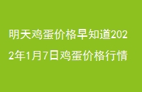 켦۸֪202217ռ۸ο