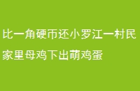 һӲһС޽һĸ³ȼ
