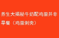 ţ伦ͣ