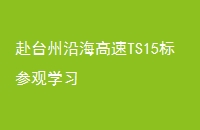 ̨غTS15ιѧϰ