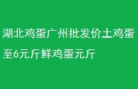 6ԪʼԪ