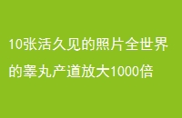 10ŻüƬȫغŴ1000
