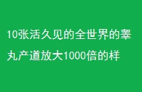 10ŻüȫغŴ1000