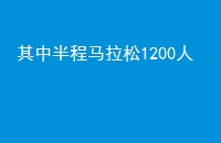а1200