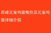 ԪۼԪϸ