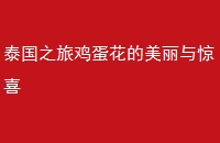̩֮ü뾪ϲ
