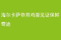 ü֤漣