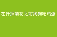Ǥջ֮ǰԼ