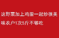 Ұ˼ϼһ𳴺ζũ15ﲻ
