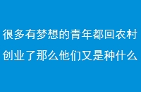 ܶ궼ũ崴ҵôʲô׬Ǯ