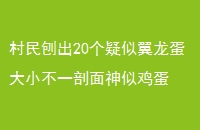 ٳ20СһƼ