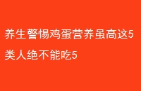 輦Ӫ5˾ܳ5