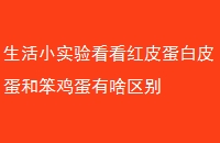 Сʵ鿴ƤƤͱɶ