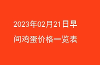 20230221伦۸һ