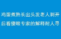 쳤ͷ˰ɵרҵĽѰζ