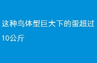 ;޴µĵ10