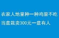 ũ˵һּԵ300Ԫһ