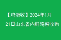 ա2024121ɽʡʼչ۸񹫲