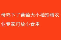 ĸѴС䵰ũҵרҿɷʳ