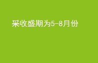 ʢΪ5-8·