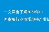 һ˽2023йݵҵгģҵǰ-ѯ