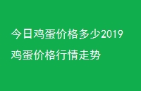 ռ۸2019۸